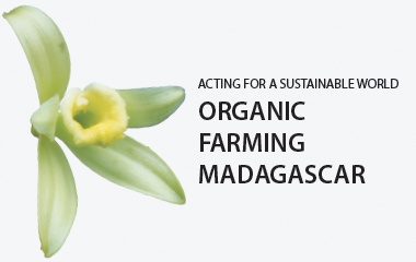 Organic Agriculture Vanilla LAVANY Bourbon from Madagascar